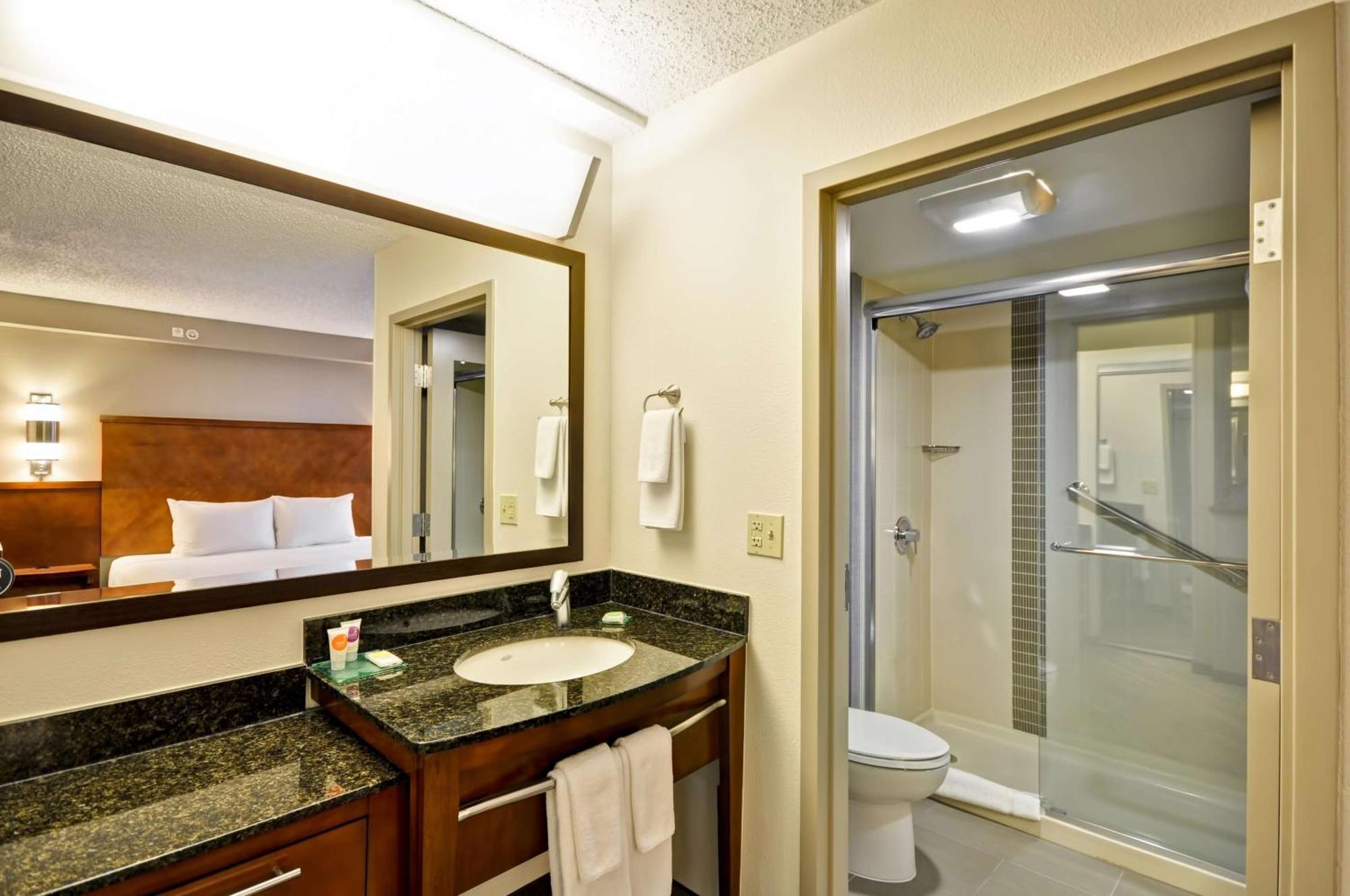 King Room Accessible Shower Disability Access