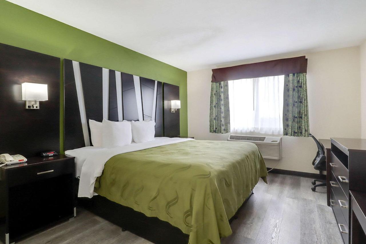 One-Bedroom King Suite