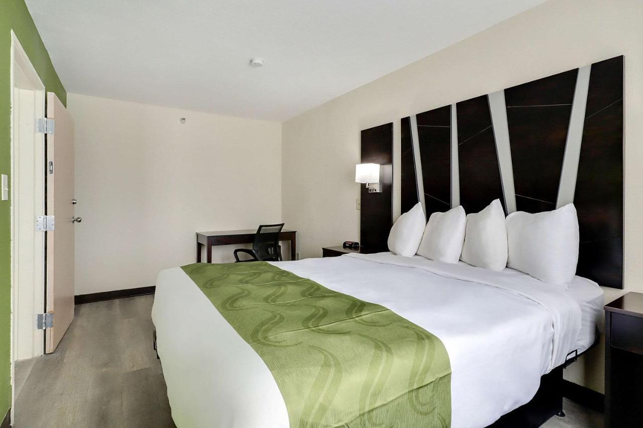 One-Bedroom King Suite