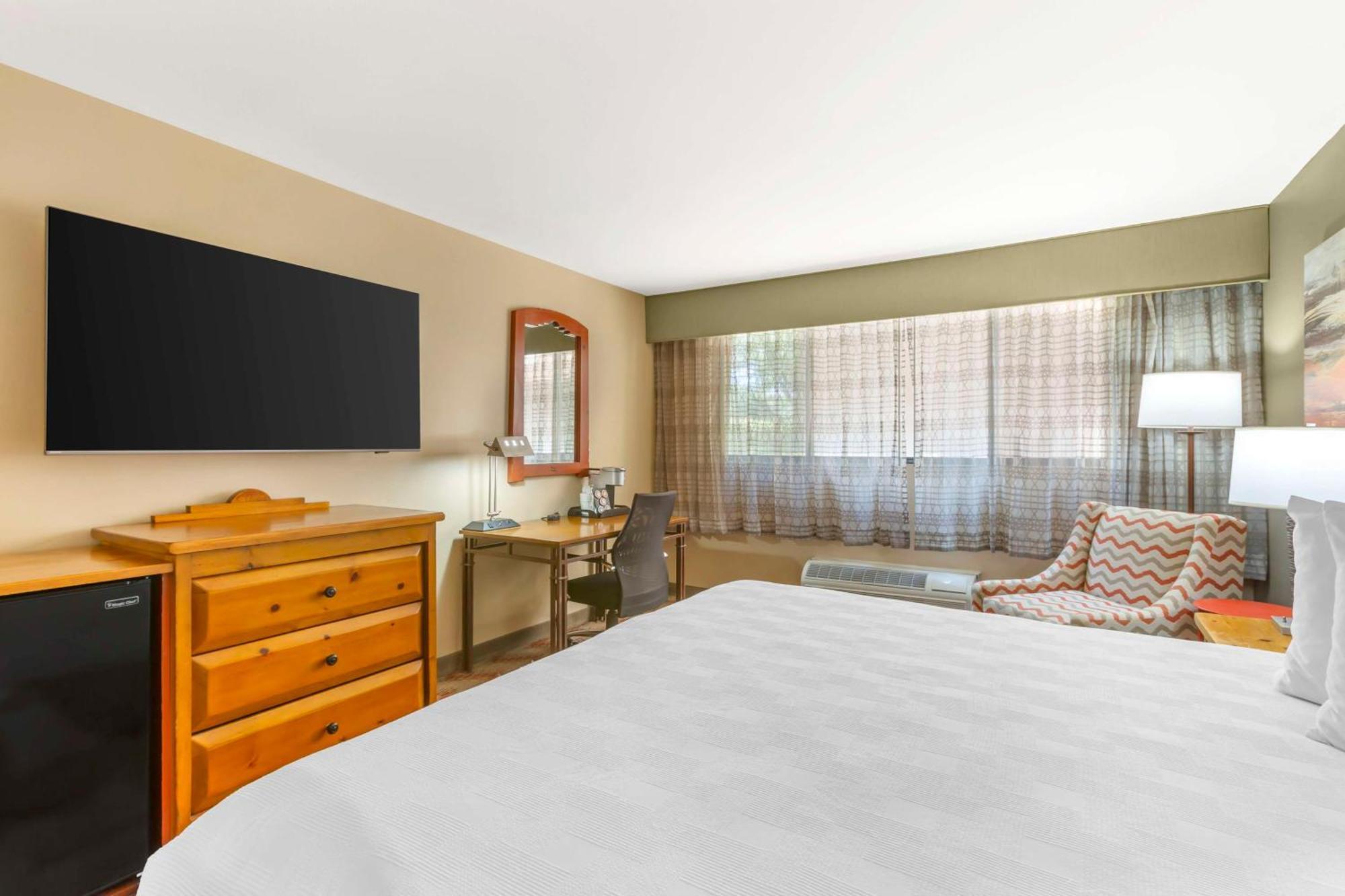 King Room,1592048503:JPEG